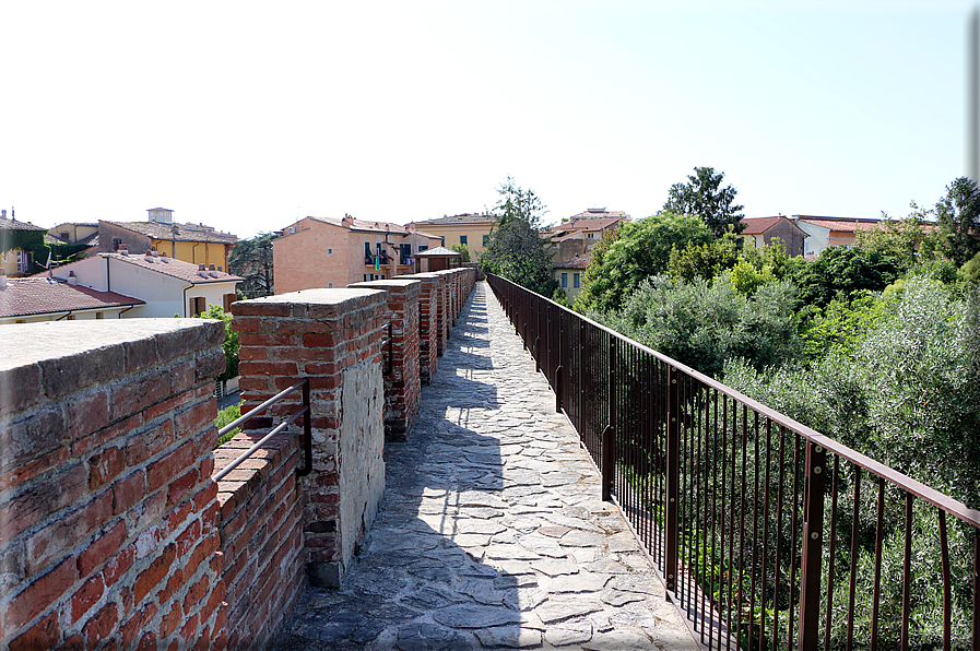 foto Camminamento delle mura di Pisa